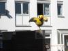 Der Ulmer Spatz