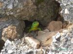 Bild 14
