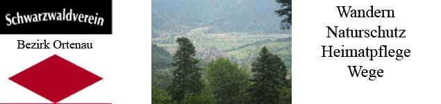 http://swv-bezirk-ortenau.de - Hom